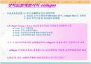 Collagen의 특성과 용도 14페이지