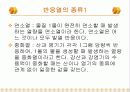 Heat of Neutralization(중화열) 4페이지