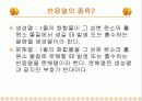 Heat of Neutralization(중화열) 5페이지