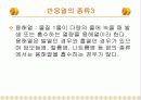 Heat of Neutralization(중화열) 6페이지