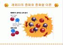 Heat of Neutralization(중화열) 13페이지