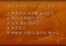 정신보건 사회복지 17페이지