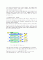 기업경영정보 전략관리체계(SEM)의 프로세스와 적용사례 8페이지