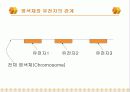 바이오 인포매틱스 10페이지