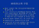 바이러스 프리온 비로이드 비교 3페이지