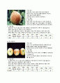 [식품]사과의 폐자원 이용 3페이지