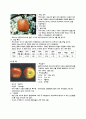 [식품]사과의 폐자원 이용 6페이지