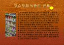 인스턴트 식품에 따른 영향 5페이지