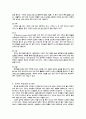 김치에 관한 정리 8페이지