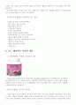 [식품]포도의 폐자원 이용 10페이지
