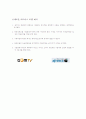 인터넷TV의 동영상광고 비교-곰TV와 아프리카TV를 중심으로 11페이지