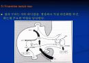 활성산소와 항산화제에 관한 팀 프로젝트[특A급]// 기작 및 그림 다수~ 최고입니다~ 13페이지
