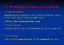 활성산소와 항산화제에 관한 팀 프로젝트[특A급]// 기작 및 그림 다수~ 최고입니다~ 16페이지
