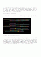 PCR,  RT-PCR, Northern Blot, Western blot 에 관한 레포트~ 최고입니다 3페이지