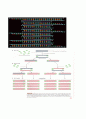 PCR,  RT-PCR, Northern Blot, Western blot 에 관한 레포트~ 최고입니다 4페이지
