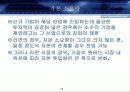 Porter 포터 5 Forces 포스 분석에 따른 라면 시장 분석 14페이지