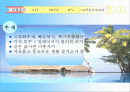 실버산업 프로젝트 2페이지