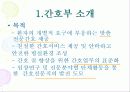 국내 외 병원의 간호부의 목적, 철학, 비전에 관해 23페이지