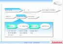 루루(looloo) 비데 성공요인 분석 PPT 5페이지