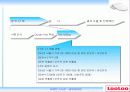 루루(looloo) 비데 성공요인 분석 PPT 6페이지