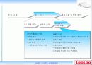 루루(looloo) 비데 성공요인 분석 PPT 9페이지