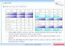 루루(looloo) 비데 성공요인 분석 PPT 30페이지