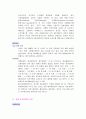넥슨의 새로운 시장 진출 분석 17페이지