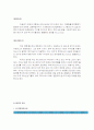 넥슨 새로운 시장 모색 및 분석 7페이지