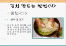 김치에 관한 모든것 13페이지