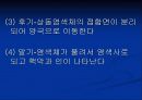 생식세포 형성과정 5페이지