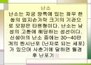 여성의 생식기관 3페이지