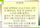 여성의 생식기관 6페이지