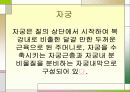 여성의 생식기관 7페이지