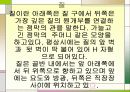 여성의 생식기관 8페이지