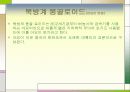 일본민족의 특성 11페이지