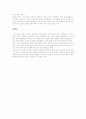 국가 없는 정치적 삶의 대안 5페이지