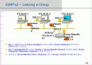 IP-TV 서비스를 위한 멀티캐스팅 기술(IGMPv1, IGMPv2) 42페이지