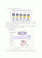 싸이월드(cyworld) 미니홈피 완벽 분석 자료 12페이지