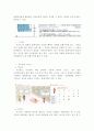 싸이월드(cyworld) 미니홈피 완벽 분석 자료 43페이지