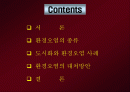 도시화와 환경문제 2페이지