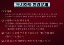 도시화와 환경문제 6페이지