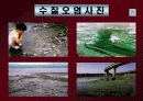 도시화와 환경문제 13페이지