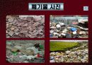 도시화와 환경문제 22페이지