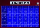 도시화와 환경문제 24페이지