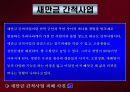 도시화와 환경문제 28페이지