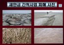 도시화와 환경문제 29페이지