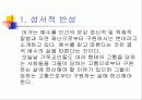 기독교 윤리 12페이지
