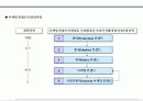 제품시장개발 전략기획서 4페이지
