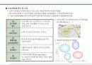 제품시장개발 전략기획서 23페이지