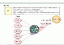 제품시장개발 전략기획서 68페이지